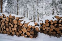 Foto: Holzstapel im Schnee